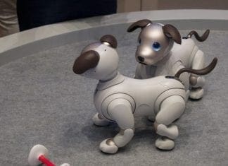 Hands on: Sony Aibo review