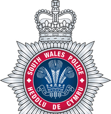 Garnswllt Road assault – Further appeal!