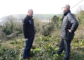 Illegal felling of protected trees highlighted by Park Authority signs/Arwyddion Awdurdod y Parc yn tynnu sylw at dorri coed gwarchodedig yn anghyfreithlon