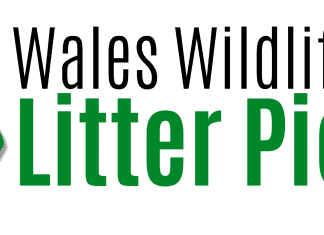 Litter Picking Walks…