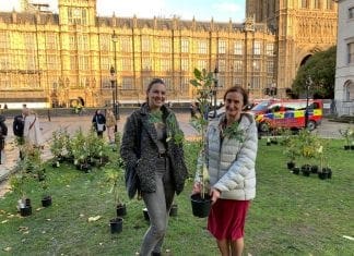 Nia Griffith MP to give Extinction Rebellion oak tree to Parc Howard
