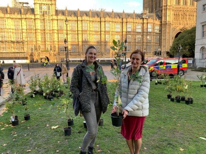 191016-Extinction-Rebellion-tree-1
