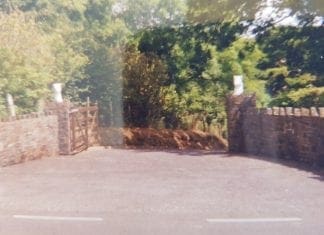 Thefts from gardens