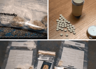 Drugs warrants in Llanelli