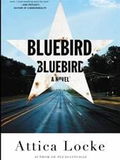 bluebirdbluebird