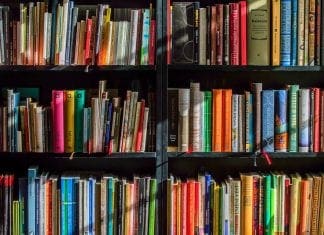 Major Study Reveals Reading Habits Among Welsh School Pupils