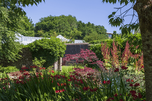 Botanic-Gardens-of-Wales-4