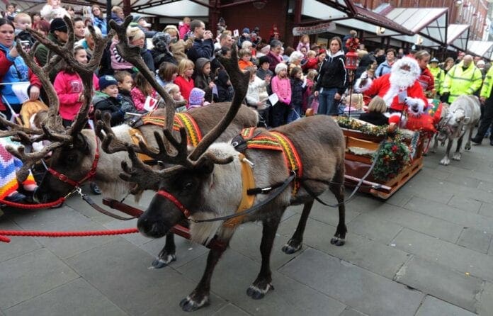 REINDEER