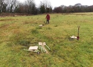 Lee Waters Lends Support To Llanelli’s Green Fingered Revolution