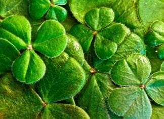 St. Paddy – Was A Welshman?