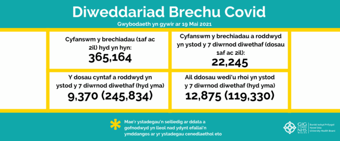 issue 19 welsh