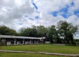New Dog Centre