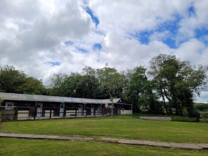 carmarthenshire new dog centre