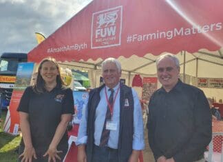 FUW Launches Domestic Violence Awareness Raising Campaign In Our Rural Communities