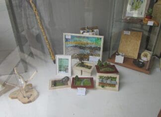 Charity’s Art Gallery Success