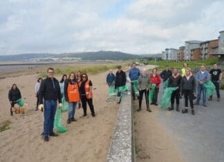 Cleaning Up The Coastline