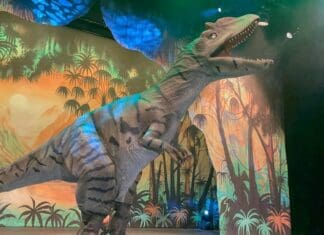 Dinomania Educates Is A Fun-Filled Dinosaur Experience Completely Adapted For COVID