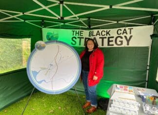 MS Backs The Black Cat Strategy