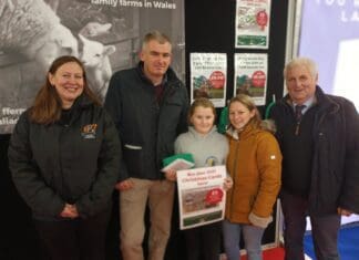 The Winners Of The Farmers’ Union Of Wales Christmas Card Competition Have Been Announced