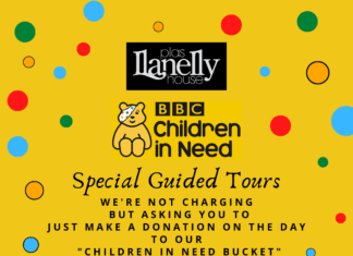 Llanelly House Supports Children In Need!