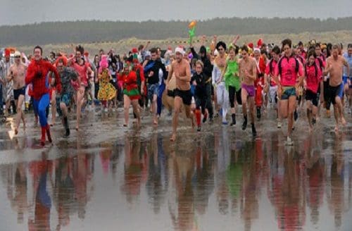 walrusdip2012-1