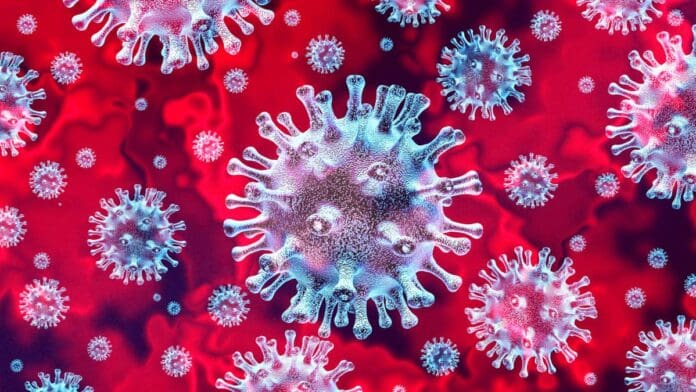 covid-cells-3