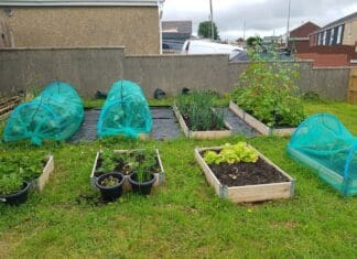 HOME GARDENING PROJECT FUNDING SUCCESS