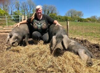 Carmarthenshire Producer Celebrating Porc From Wales Week