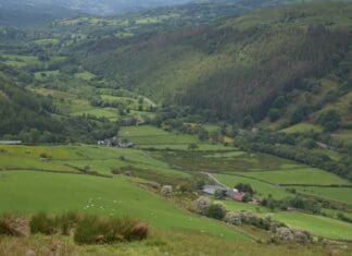 ‘Preventing Wales’ Corporate Carbon Land Grab: Balancing Carbon, Trees And Rural Communities” Fuw Hosts Special Breakfast Webinar