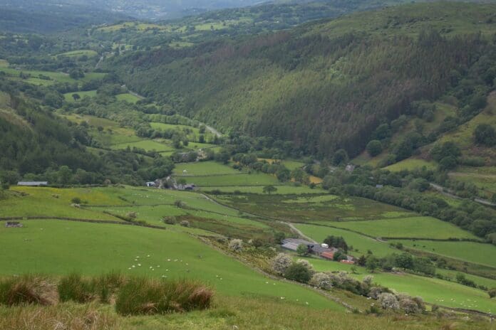 fuw landscape