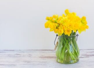 Celebrate St David’s Day With Wales’ Finest Produce