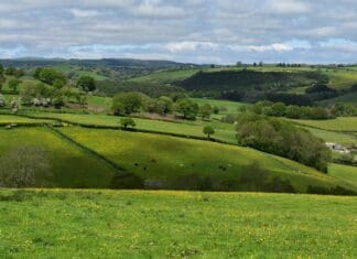 Welsh Government Proposals On Planning Legislation For Second Homes Must Be Enforceable