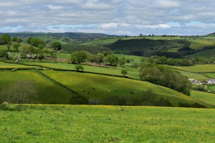 FUW countryside general