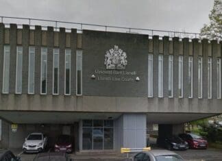 Bridiwr cŵn didrwydded o Lanelli yn pocedu miloedd o bunnoedd yn anghyfreithlon