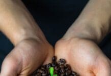 Notes On Fairtrade Fortnight Events Around The UK & Ideas For The Next Fairtrade Fortnight