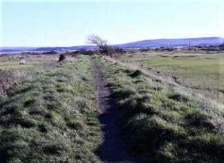 The Role Of The Tramroad In Early Industry