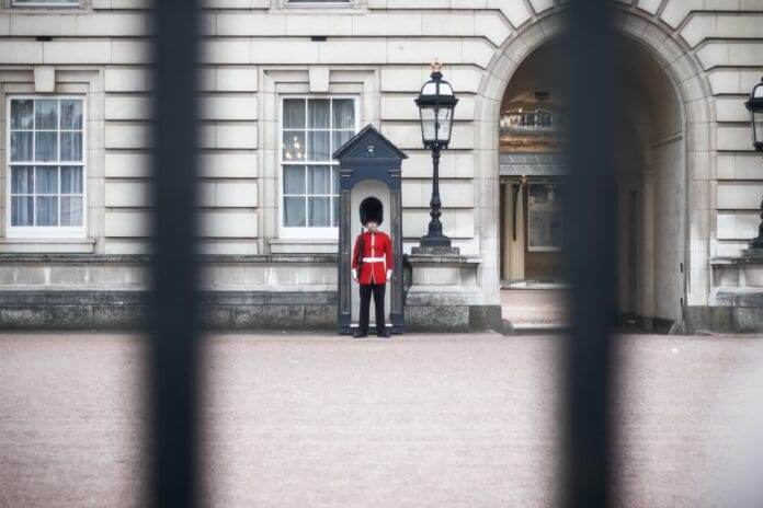 use w working royal