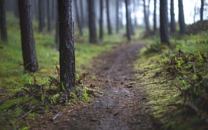 trail