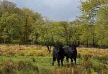 Farmers In Wales Are Part Of The Solution To Tackling Climate Emergency FUW President Stresses