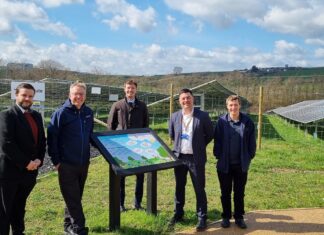 Solar Farm Sparks To Life