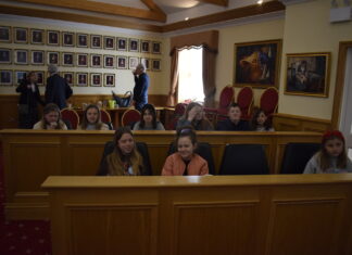 Llanelli Town Council Dla Polonii