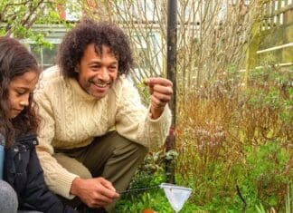 Mini-wetlands: Make a big splash for nature campaign release