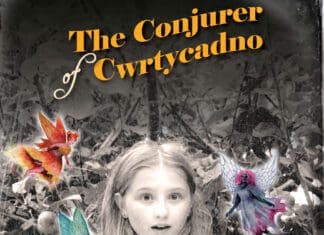 The Conjurer of Cwrtycadno comes to Pembrey Country Park