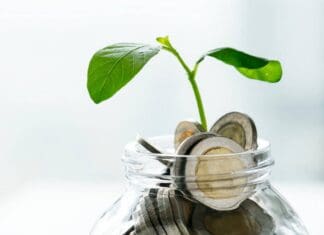 Responsible investing: How to start the journey