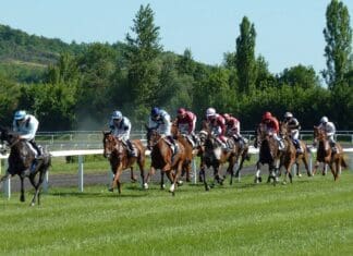 Racing to Riches: Discover the Latest New Horse Racing Betting Sites