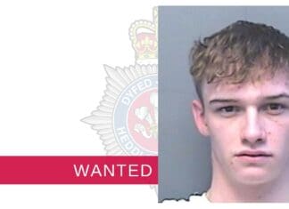 Police Appeal for Arson Attack Suspect