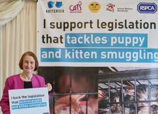 Llanelli MP, Nia Griffith, shows support for ‘urgent’ animal welfare bill