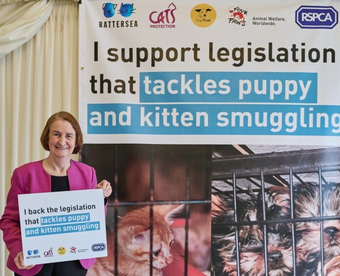 240313 Animal Welfare Bill