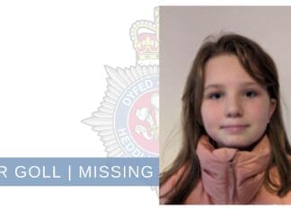 Missing Girl, Johnstown area of Carmarthen