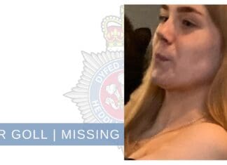 Have You Seen Skye? Missing From Llanelli